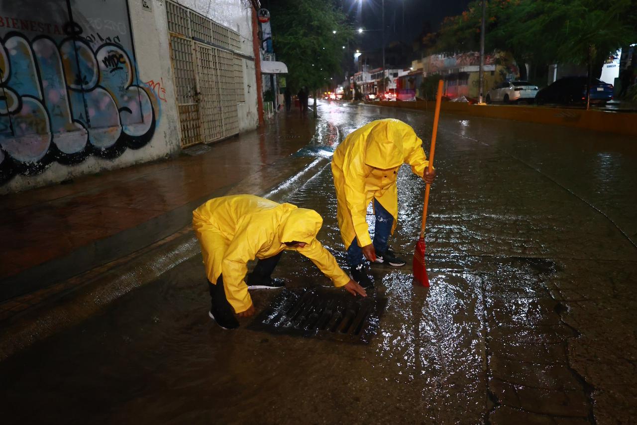 uploads/6/32/01 (2373).Jpeg